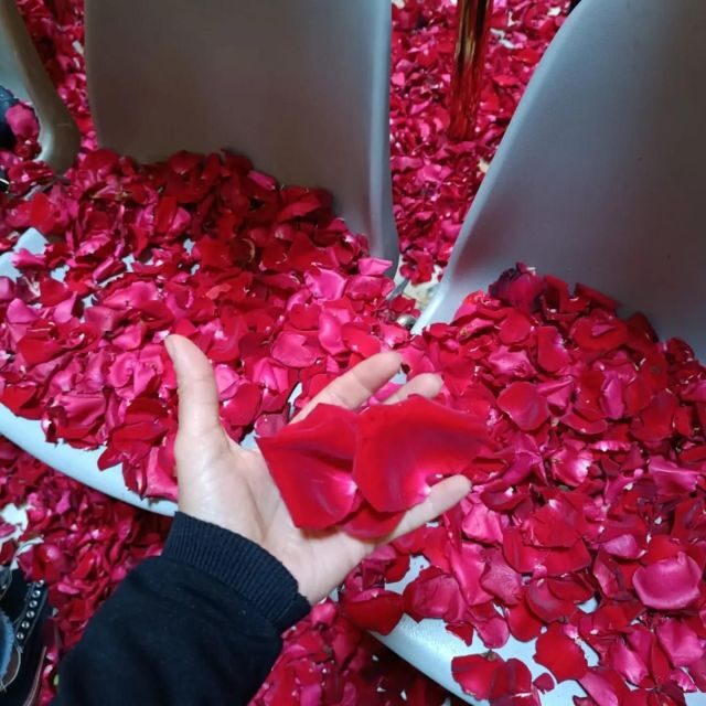 Rome: Pantheon Guided Tour with Entry Ticket and Headsets - Final Thoughts