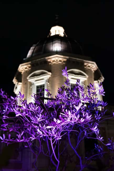 Rome: Santa Maria Maggiore Tour + Optional Terrace Access - Key Points