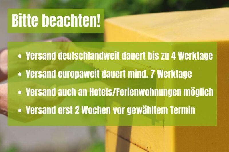 Rome: Scavenger Hunt Self-Guided Tour - An In-Depth Look at the Experience