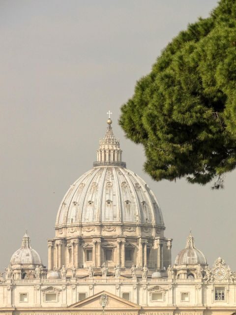 Rome: St. Peter's Basilica, papal tombs tour also with Dome - A Deep Dive into the Experience