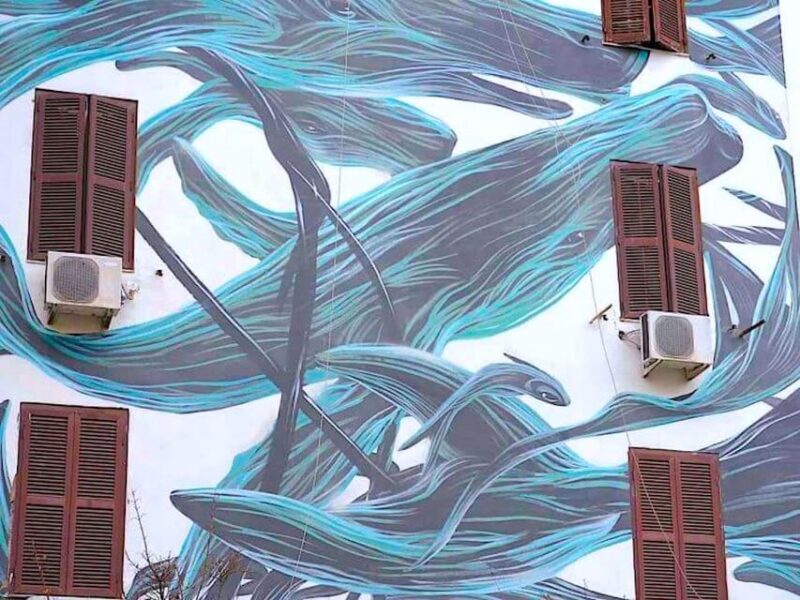 Rome street art tour: off the beaten path with a local guide - Who Will Love This Tour?