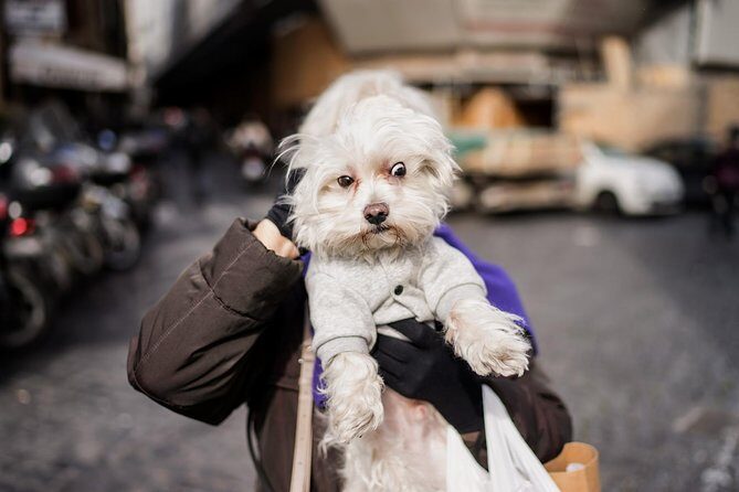 Rome Street Photography Lesson - Who Will Love This Tour?