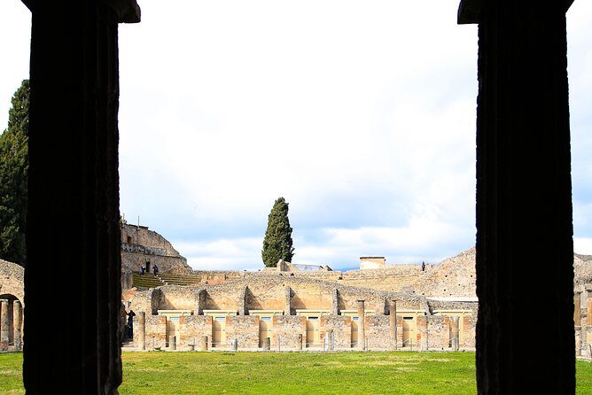 Rome to Pompeii & Herculaneum Trip with Hotel Pickup & Skip-the-line Tickets - Who is this tour best suited for?