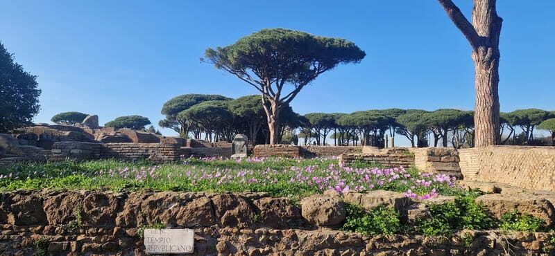 Rome:Ostia Antica Skip-the-line Ticket & Audioguide - The Sum Up