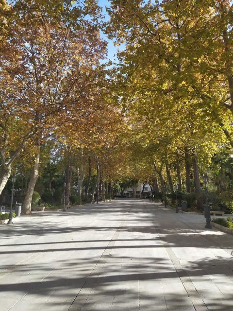 Ronda: 2-Hour Private Walking Tour - What Makes This Tour Stand Out