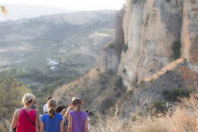 Ronda and Setenil Full Day - Who Should Consider This Tour?