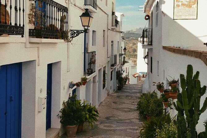 Ronda and White Villages from Seville-Small Group-Private Van - The Value of This Tour