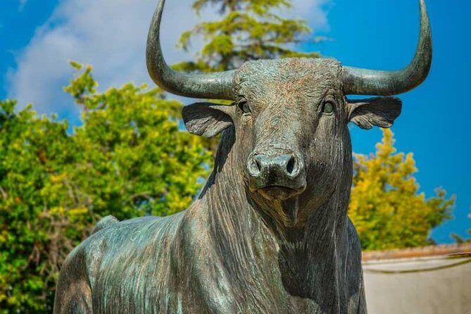 Ronda Private Day Trip from Malaga - Who Will Love This Tour?