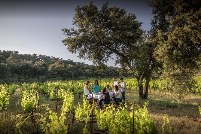 Ronda Private Wine Tour and Tapas from Marbella - The Itinerary: What to Expect on This Wine-Filled Day