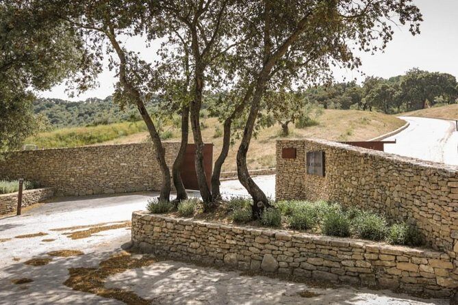 Ronda Private Wine Tour and Tapas from Marbella - The Sum Up