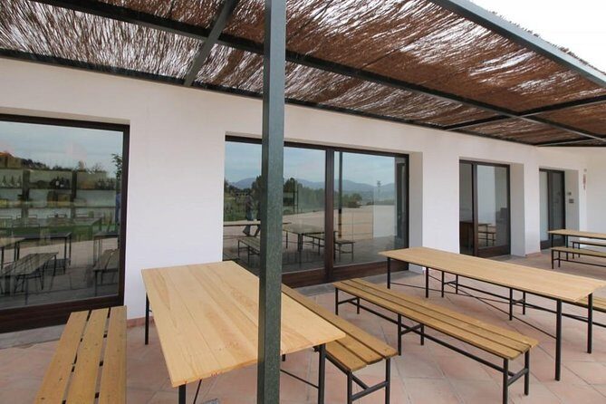 Ronda Private Wine Tour + Free Time in Ronda - FAQ
