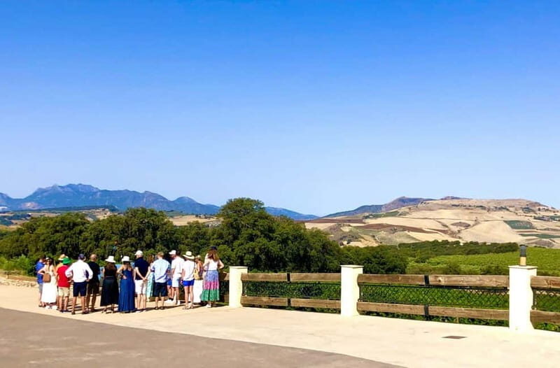 Ronda: Winery Tour with Wine Tasting and Tapas - What Makes This Tour Special?