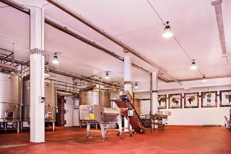 Ronda: Winery Tour with Wine Tasting and Tapas - Why This Experience Offers Great Value