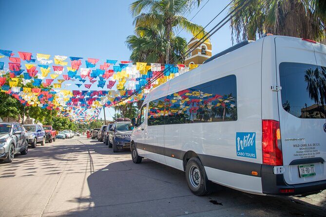 Roots of Baja Magical Town Tour in Todos Santos - Key Points