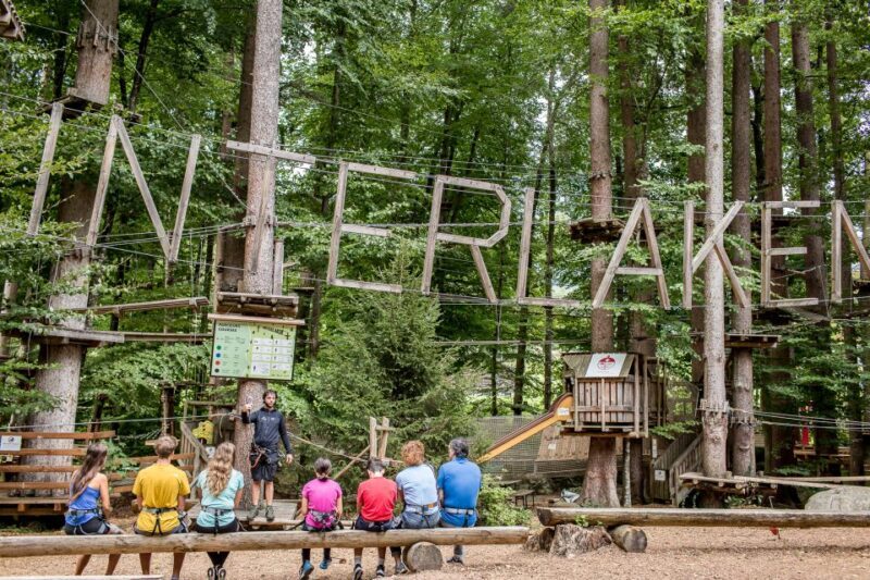 Rope Park Interlaken: Climbing Adventure with Entry Ticket - The Details of Your Climbing Day