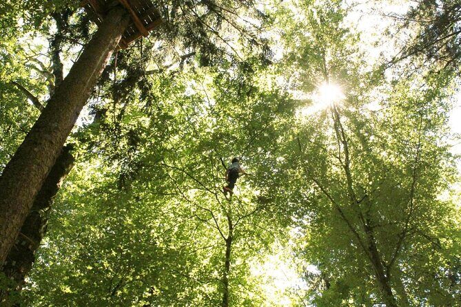 Ropes Park Interlaken - Ropes Park Interlaken Review: A High-Altitude Adventure in the Swiss Alps