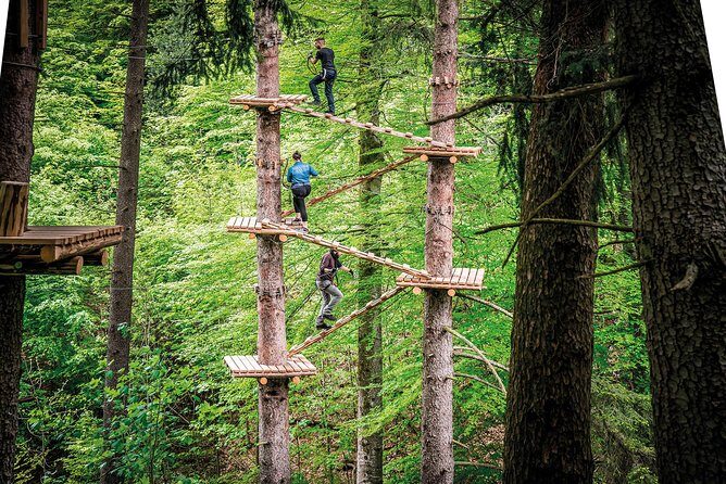 Ropes Park Interlaken - Key Points