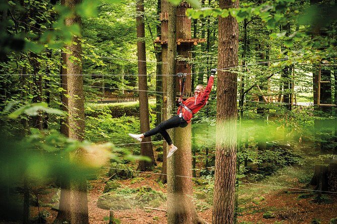 Ropes Park Interlaken - Who Is This Tour Best For?