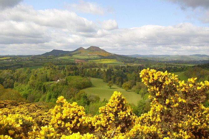 Rosslyn Chapel and Scottish Borders Small-Group Day Tour from Edinburgh - The Bottom Line: Who Will Love This Tour?