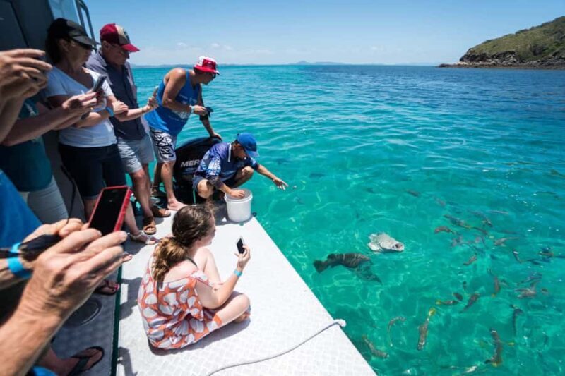 Rosslyn: Great Keppel Island Glass Bottom Boat Tour - What the Reviews Say