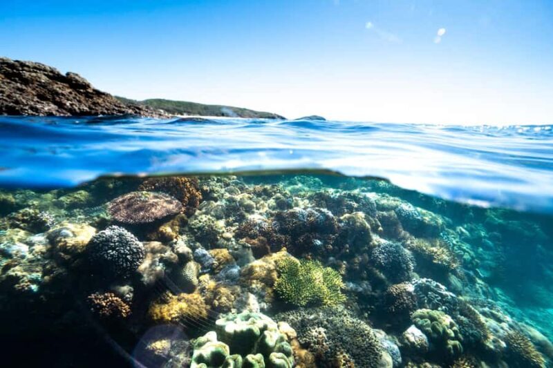 Rosslyn: Great Keppel Island Glass Bottom Boat Tour - The Sum Up