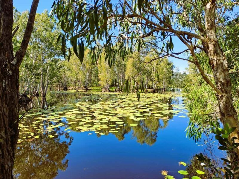Rossville: Aboriginal Cultural Experience with Mooks - Discover the Authentic Aboriginal Culture at Rossville with Mooks