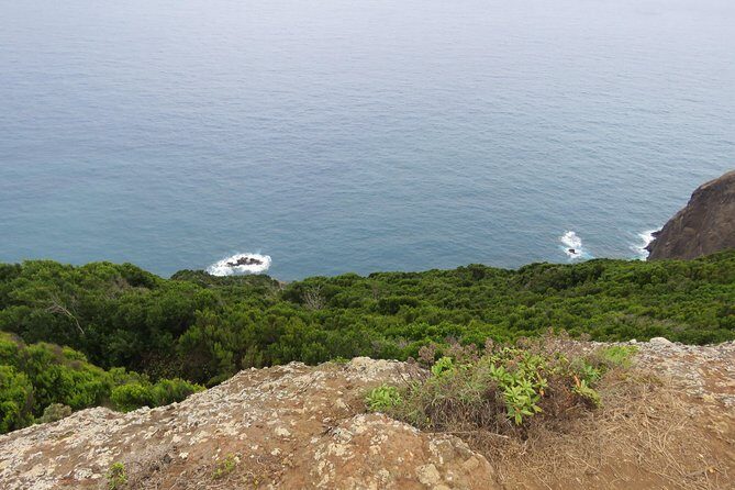 Rota do Norte (Larano) Northern Route (Full Day Walk) - Exploring Madeira’s Rugged Northeast: What to Expect
