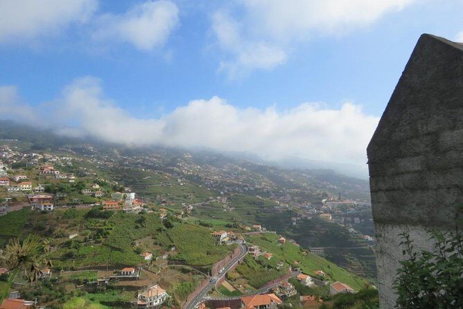 Rota do Vinho - Wine Route (Half Day Walk) - What Is the Rota do Vinho Half Day Walk?