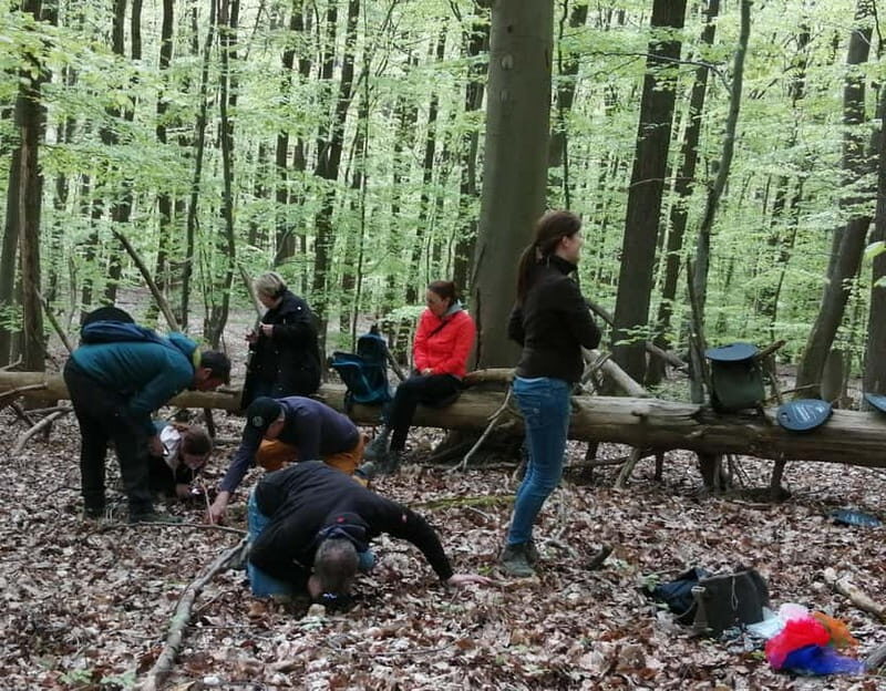 Rotenburg an der Fulda: Forest bathing with a certified guide - Key Points