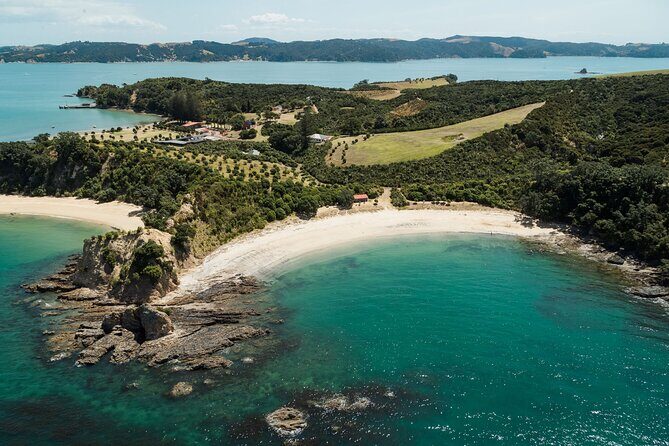Rotoroa Island and Man O' War Vineyard Combo from Auckland - Analyzing the Tour’s Value