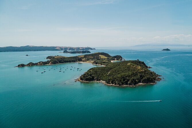Rotoroa Island Ferry - from Auckland - Who Is This Tour Best For?