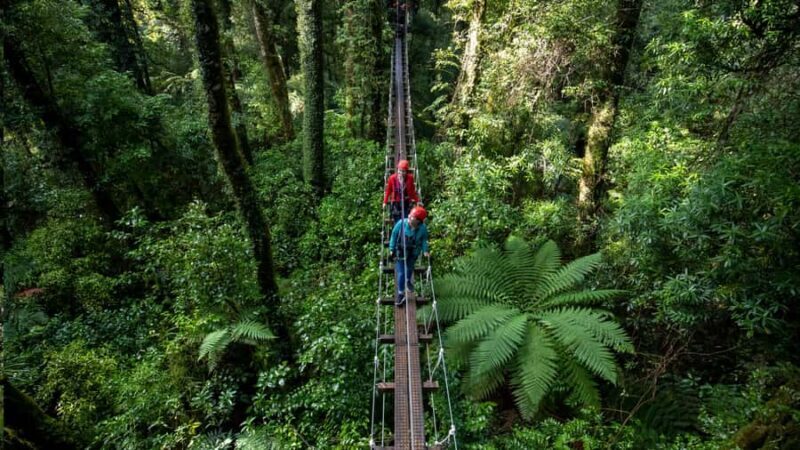 Rotorua: 6 Ziplines, Swing-Bridges & Wildlife Encounters - FAQs