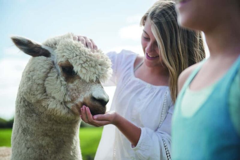 Rotorua: Authentic Kiwi Farm Experience at the Agrodome - FAQ