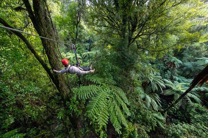 Rotorua Canopy Tours: 2.5Hour Native Forest Zipline Adventure - What Makes This Tour Stand Out