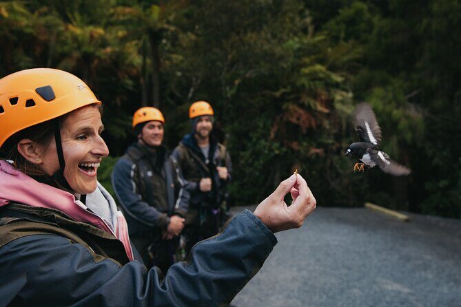 Rotorua Canopy Tours: 2.5Hour Native Forest Zipline Adventure - The Practicalities: Logistics, Price, and Suitability