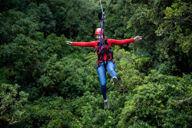 Rotorua Canopy Tours: 2.5Hour Native Forest Zipline Adventure - Authentic Reviews and What They Say