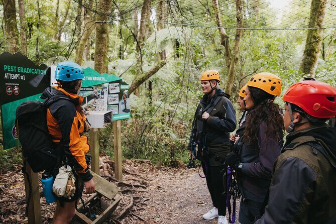 Rotorua Canopy Tours: 2.5Hour Native Forest Zipline Adventure - The Sum Up: Who Will Love This Tour?