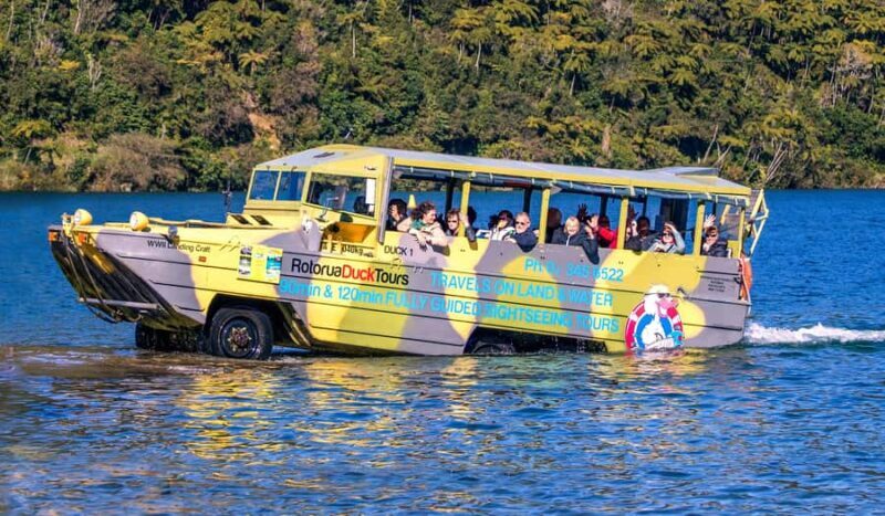 Rotorua City and Lakes Duck Tour - What to Expect from the Rotorua Lakes and City Duck Tour