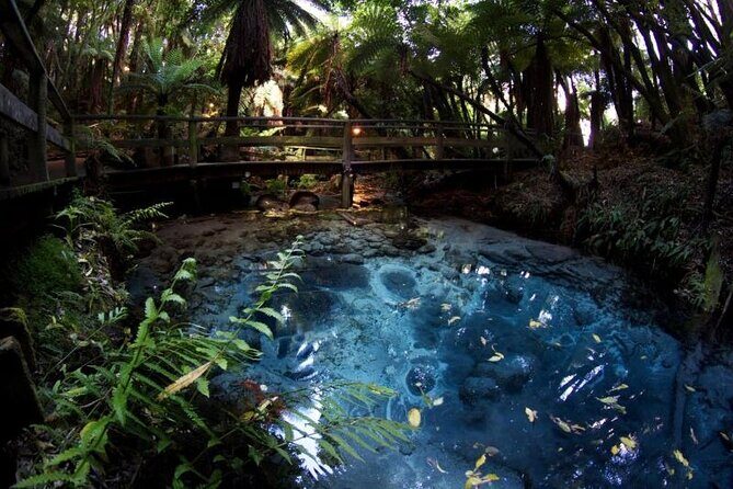 Rotorua Cultural & Geothermal Small Group Tour From Auckland - The Itinerary Breakdown: What to Expect