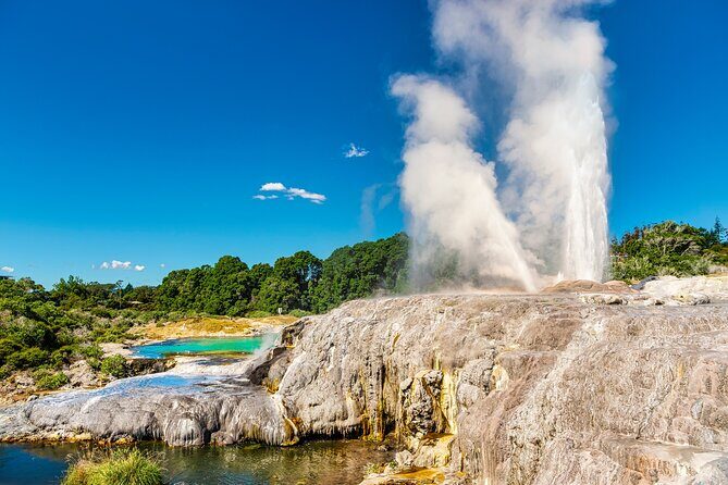 Rotorua Cultural Small Group Afternoon Tour - Key Points