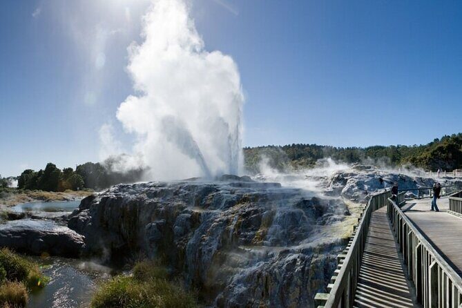 Rotorua Day Trip from Auckland TePuia_Hot Pool-Tub_Redwood Forest - Frequently Asked Questions