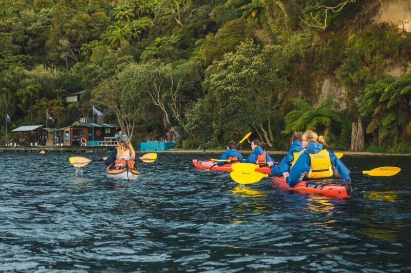 Rotorua: Daytime Scenic Lake Rotoiti Kayak Tour - Practical Details and Value