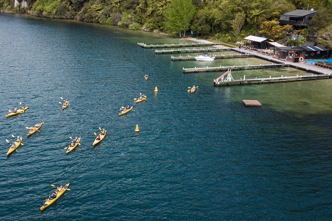 Rotorua: Daytime Scenic Lake Rotoiti Kayak Tour - Key Points