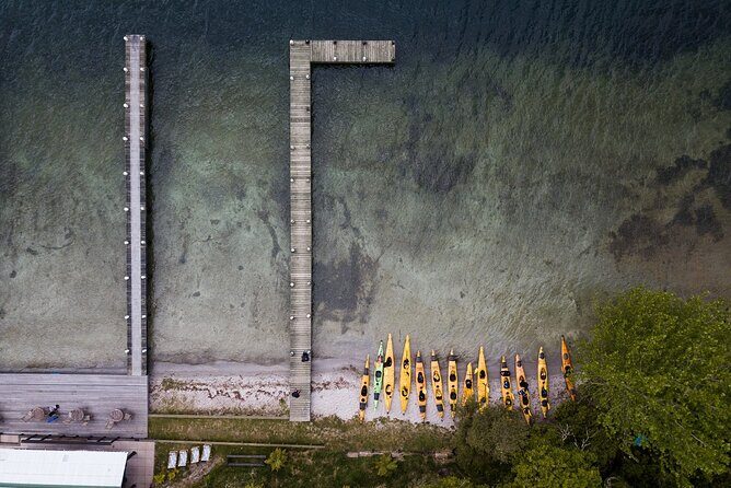 Rotorua: Daytime Scenic Lake Rotoiti Kayak Tour - Who Will Love This Tour?