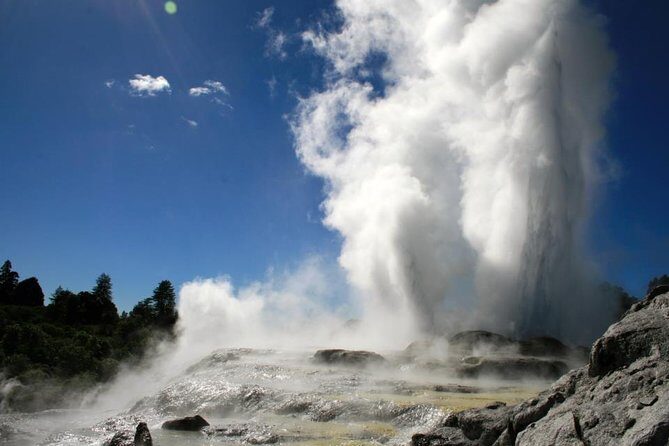Rotorua Discovery Te Puia Tour - Te Puia: Geothermal Wonder and Maori Culture