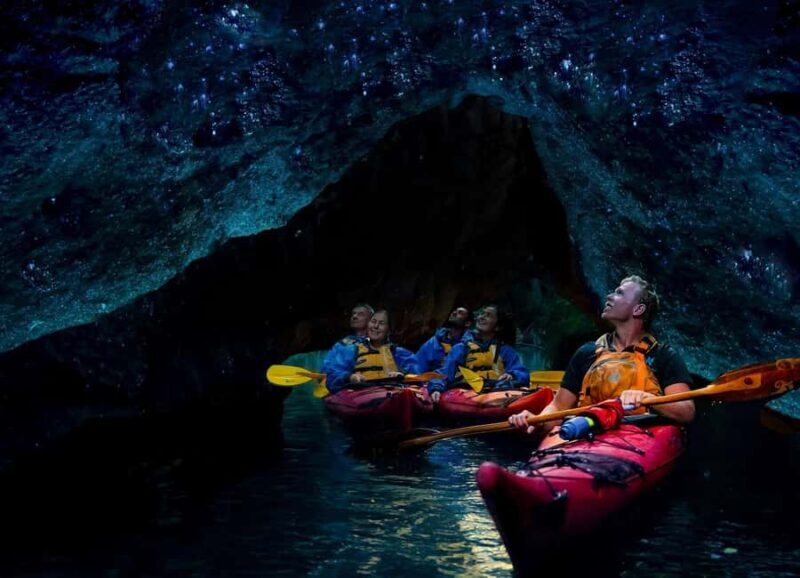 Rotorua: Evening Starlight Gourmet Kayak Tour with dinner - The Value Proposition