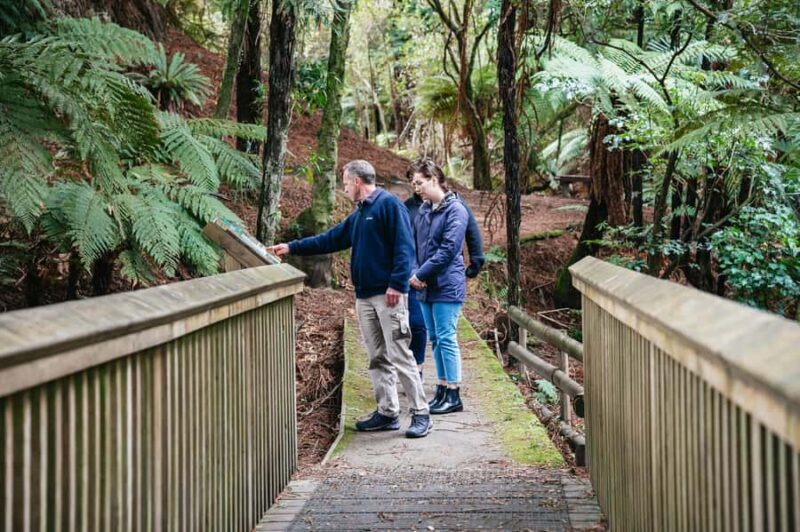 Rotorua: Explore The Lakes Half-Day Morning Tour - FAQ