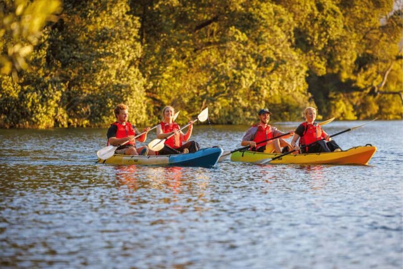 Rotorua: Glow Worm Adventure Kayak - Who Will Love This Tour?