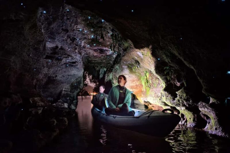 Rotorua: Glow Worm Kayak Tour - Key Points