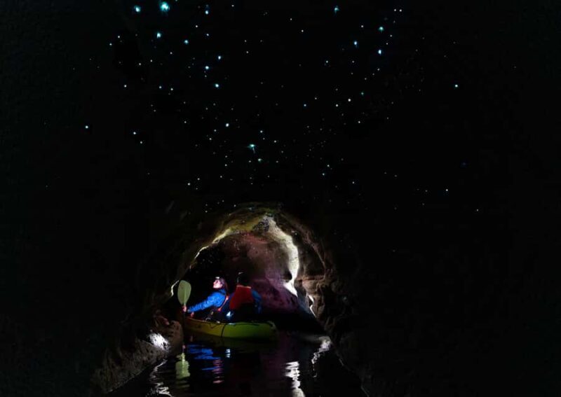 Rotorua: Glow Worm Kayak Tour - An Evening in Rotorua Like No Other